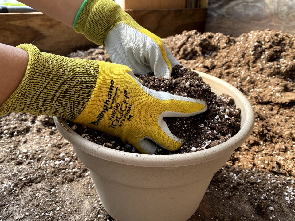 close up of hand with yellow gloves working on a pot